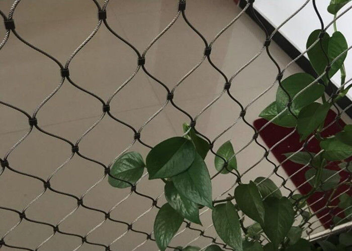 Stainless Steel Wire Rope Mesh Trellis for Green Walls Custom Sizes