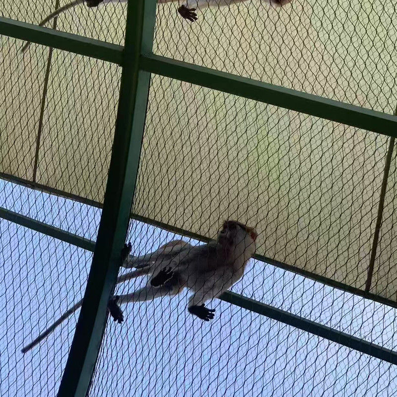 Stainless Steel Woven Wire Rope Mesh Net Bird Aviary Zoo Enclosure Slope Protection