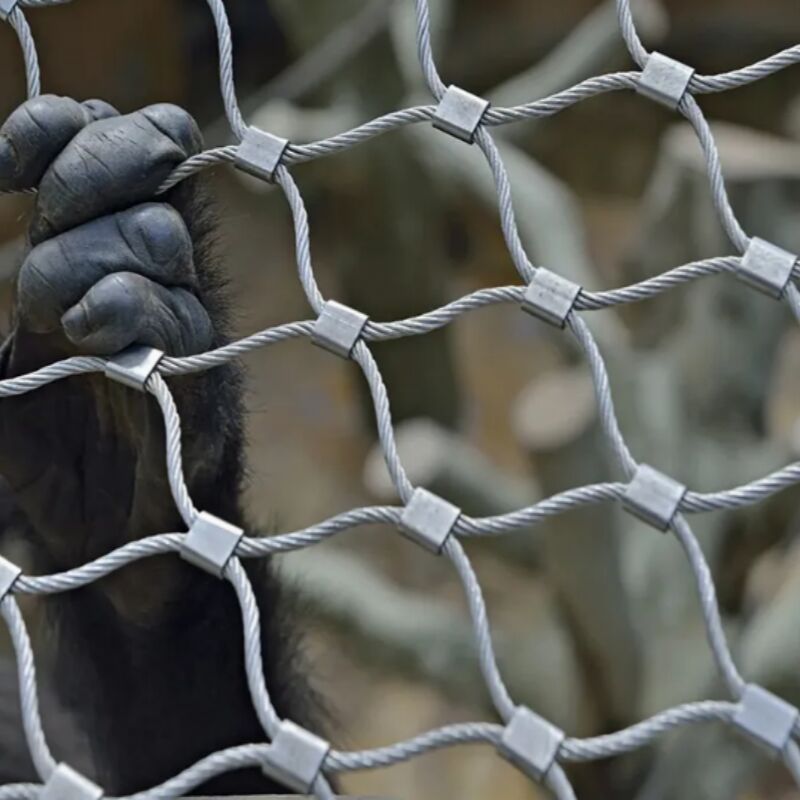 Robust Stainless Steel Cable Mesh Engineered For Safety Barriers