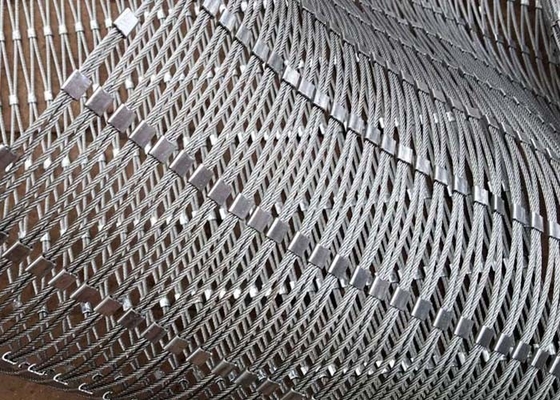 Koruyucu için Paslanmayan Yüksüklü 2.0Mm Tel SS X Eğilimli Kablo Örgüsü