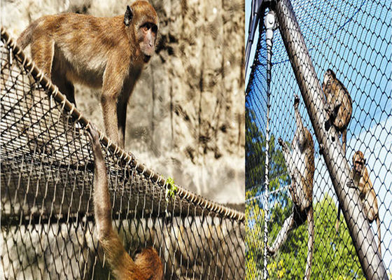 1.5mm Tel Çapı Paslanmaz Çelik Kuş Örgü Dimi Örgü Karton Kutu Ambalaj