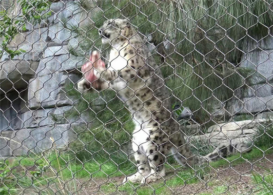 SS 304 Aslan Küresi için Tel İpi Ağı