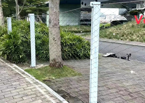 50 mm delikli dokuma X tend hayvanat bahçesi kuş bahçesi ağı 1.5 mm