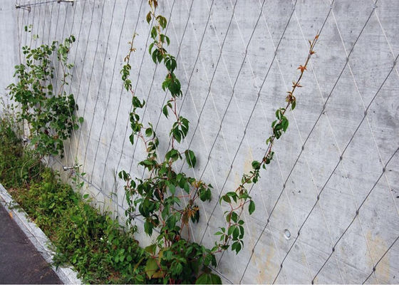 Eko Dostu Bahçe Tel Duvar Trellis Ferruled / Knotted Korozyon Karşıtı Mesh