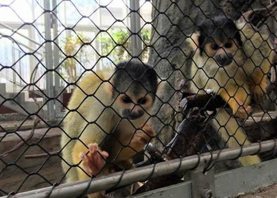Siyah Oksit Esnek SS Kafes Halat Tel Örgü Elmas Dokuma Türü