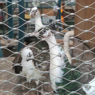 Kuş bahçesi tel örgütü esnek tel ip kablo ağı hayvanat bahçesi için