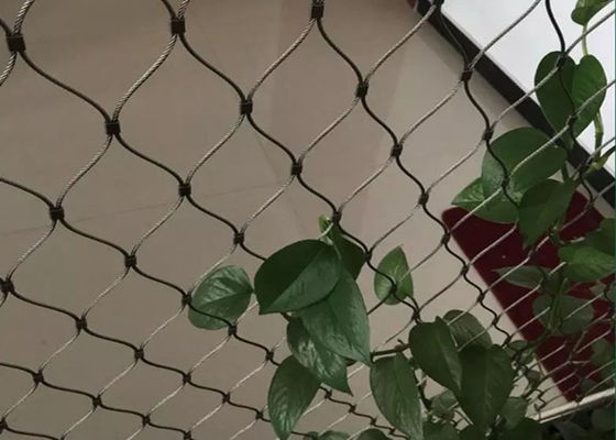 Yeşil Dekorasyon Duvarı 100x100mm Esnek Paslanmaz Çelik Kablo Mesh