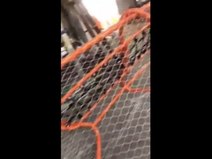 Tel ip ağlı çitler