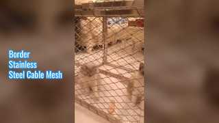 Sınır Paslanmaz Çelik Kablo Mesh