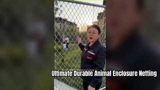 Durable Stainless Steel Aviary and Zoo Animal Netting
