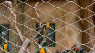 Dokuma paslanmaz çelik tel kablo ağı neye benziyor?